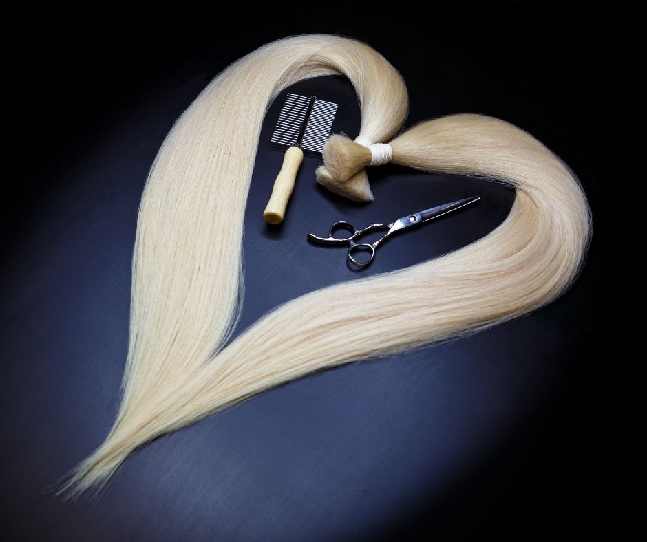 extensions clip